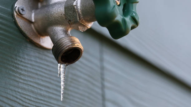 Best Local Plumber Services  in Becker, MN